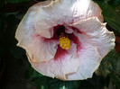 P1180369