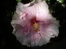 P1180370