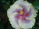P1180374