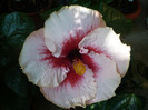 P1180381