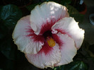 P1180382