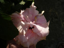 P1180384