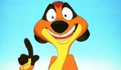 Timon