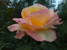 septembrie 2012 029
