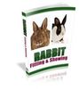 rabbit-showing