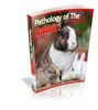 pathology-of-rabbit