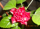 DSCN2000