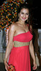 Amisha Patel (2)