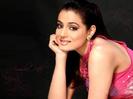 Amisha Patel (46)