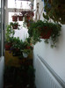 Picture 033