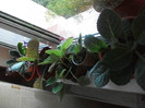 Picture 034