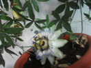 Picture 038