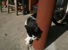 Picture 162