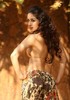 Samiksha-Singh-hot-photos-550x783