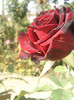 Photo0754