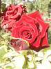 Photo0755