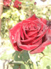 Photo0756