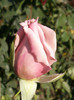Photo0763