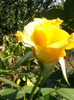 Photo0764