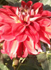 Photo0766