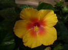 P1180395