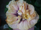 P1180393