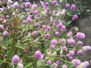 DSCN3391