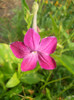 DSCN3408