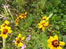 DSCN3409