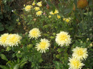 DSCN3412
