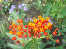 DSCN3413
