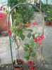 DSCN3415