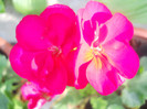 DSCN3428