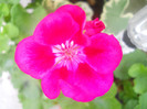DSCN3431