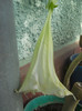 DSCN3441