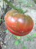 BLACK KRIM