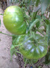 BLACK KRIM