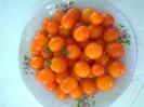 GOLD PEPITA