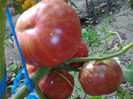 BLACK KRIM
