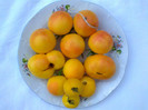 WAPSIPINICON PEACH