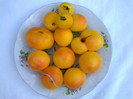 WAPSIPINICON PEACH