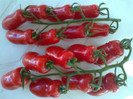 SAN MARZANO