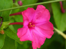 063