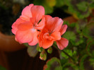 065