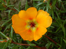 097
