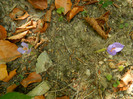 DSCN9827