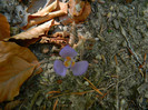 DSCN9828