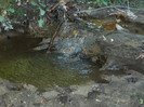 DSCN9858