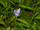 DSCN9885
