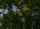DSCN9936